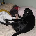 2009122201