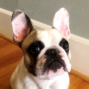 winston