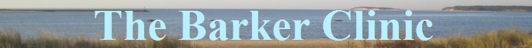 wellfleet