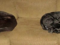 Double Cannonball